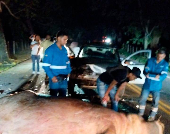 El accidente se presentó en la vía Medellín-Bogotá en jurisdicción de Puerto Triunfo. FOTO: Cortesía Denuncias Antioquia.