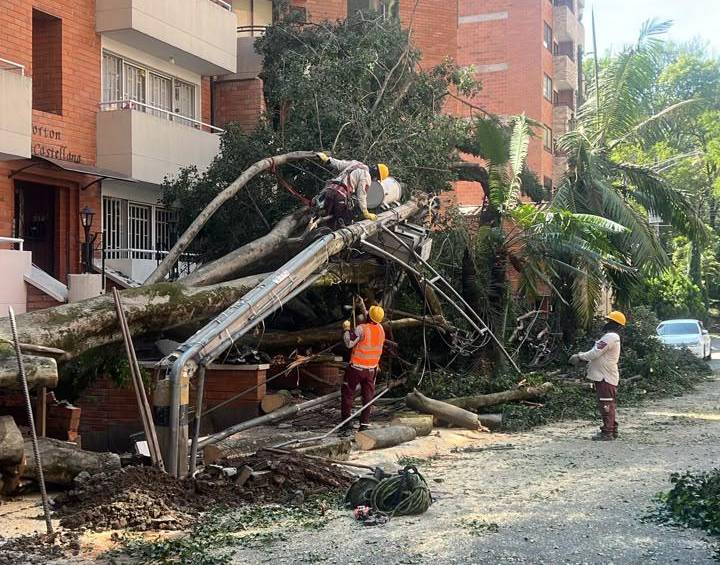La Castellana fue otro de los barrios más afectados, y en el que aún trabajan para retirar los árboles caídos. Foto: Cortesía EPM