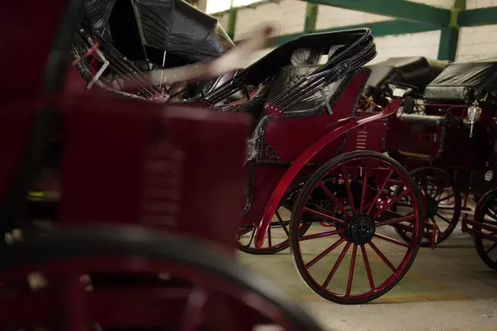 Los carruajes arrastrados por caballo buscan ser reemplazados por carruajes eléctricos en Cartagena.