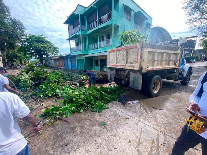 Unidades del Cuerpo de Bomberos con apoyo de la alcaldía de Turbo recoger varios árboles que se cayeron y dejaron vías cerradas. FOTO CORTESÍA