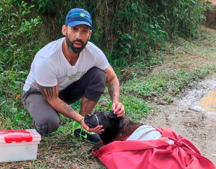 Este es el momento en el que @APOLOSTARS rescata al perro José Miel para intentar salvarle la vida, algo que ya era imposible. FOTO CORTESÍA