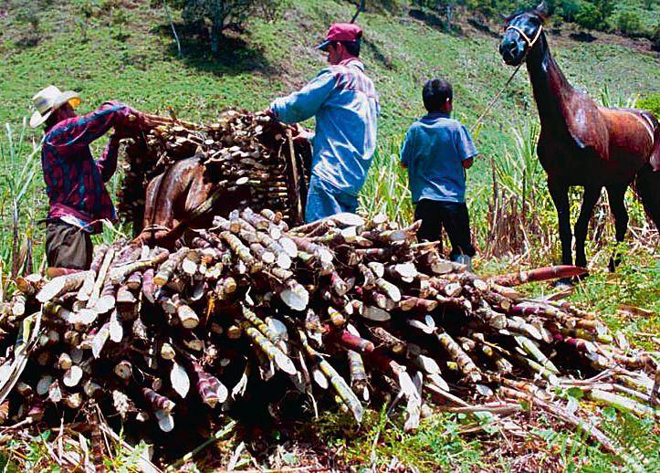 El ‘Súper Niño’ se acerca y el 35% de Antioquia está en alto riesgo ante incendios forestales
