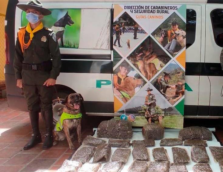 Lucrecia aportó a la captura de varias personas que traficaban con drogas en Cúcuta. FOTO: CORTESÍA DE POLICÍA.