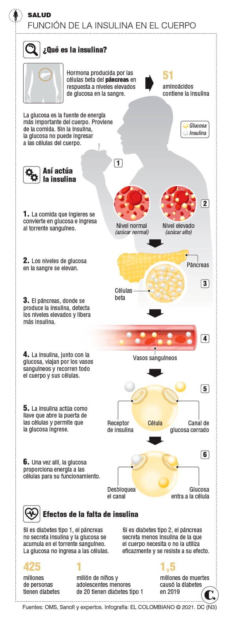 InfogrÃ¡fico