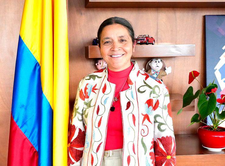 La viceministra de Educación Preescolar, Básica y Media, Gloria Mercedes Carrasco Ramírez. FOTO CORTESÍA
