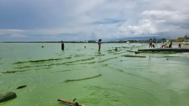 El mar de Turbo, en el golfo de Urabá, amaneció este fin de semana con un color verde que sorprendió a habitantes y turistas. FOTO: Cortesía Facebook Puerto Stereo