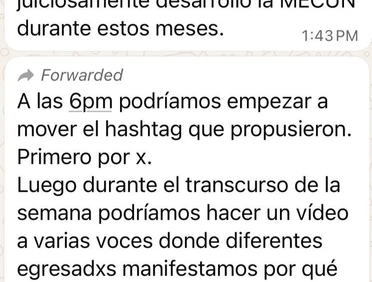 Chats que hablan de estrategias para defender el proceso constituyente en redes sociales. Foto: Suministrada.