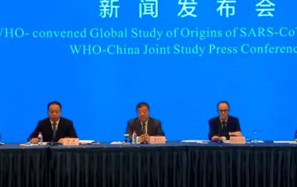 La OMS confirmó que todo continúa señalando a que el SARS-CoV-2 procede de los murciélagos. FOTO CAPTURA VIDEO