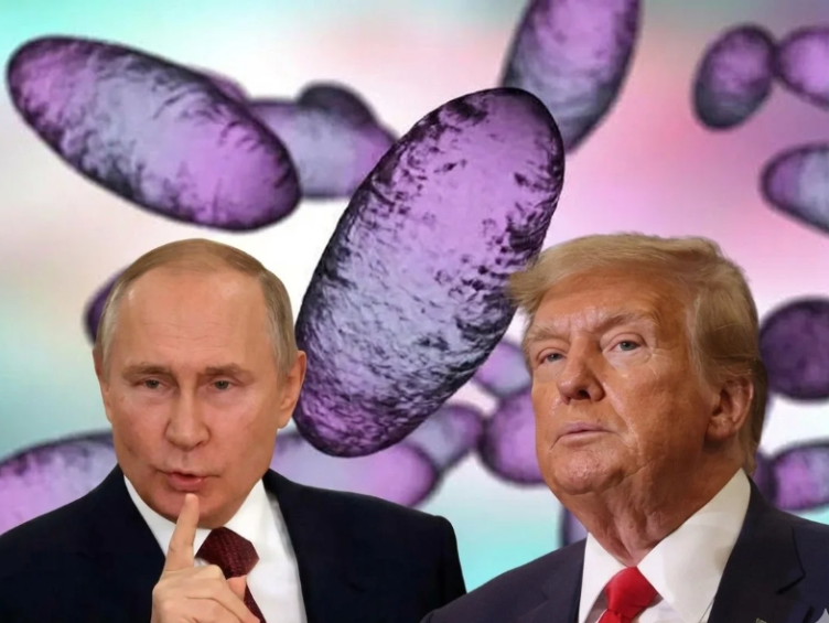 Trump confirmó que pretende tener una llamada con Putin para abordar el posible caso de peste neumónica en Rusia. FOTO: Science Photo Library / AFP / Imagen creada con IA