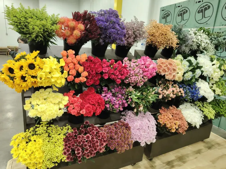 Flores colombianas en las instalaciones de Asocolflores en Miami, Estados Unidos. FOTO: EL COLOMBIANO