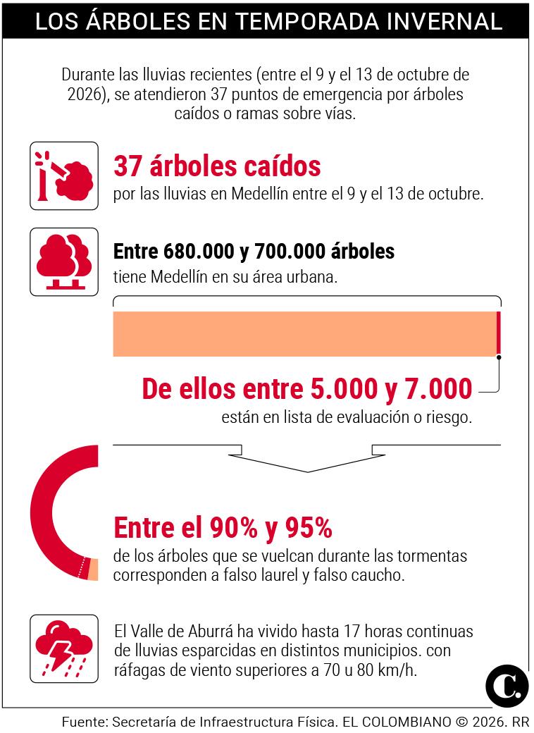 InfogrÃ¡fico