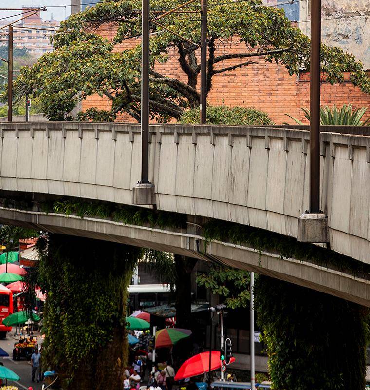 En total fueron instalados 340 metros lineales de jardineras, concentradas en el tramo de esa vía que inicia en el Parque Berrío y se extiende hasta la Plazuela Nutibara, que a raíz del alto flujo vehicular y la ausencia de vegetación es precisamente una de las zonas del centro más afectadas por esas altas temperaturas. Foto: Julio Herrera