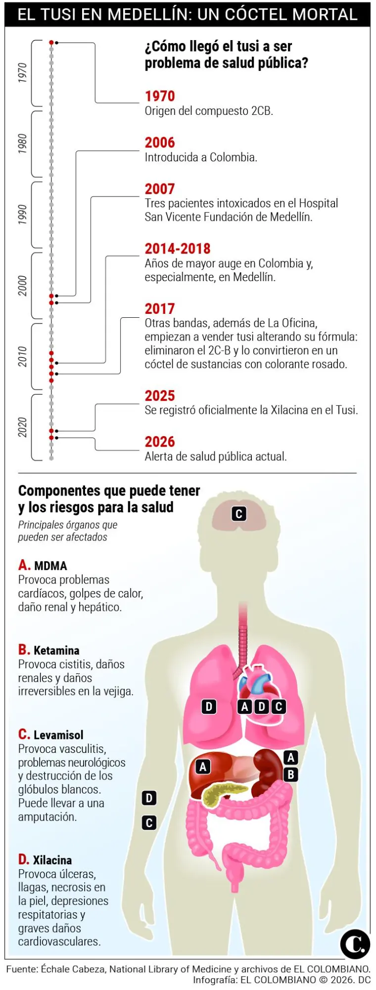 InfogrÃ¡fico