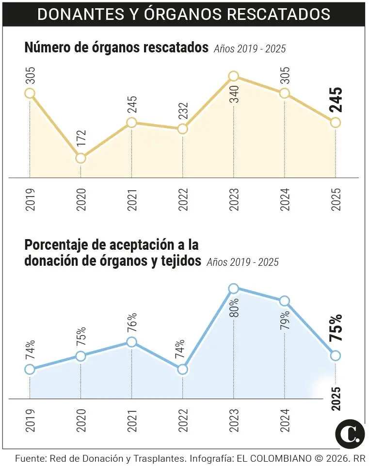 InfogrÃ¡fico