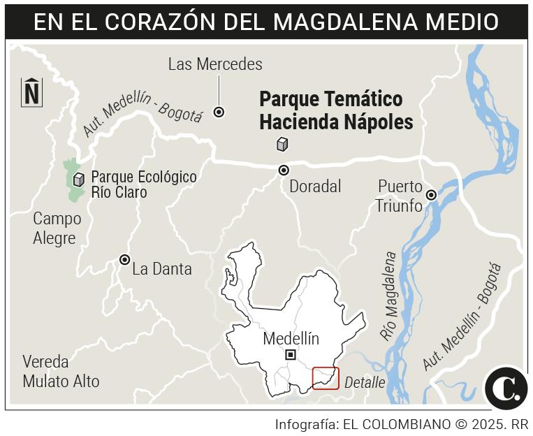 InfogrÃ¡fico