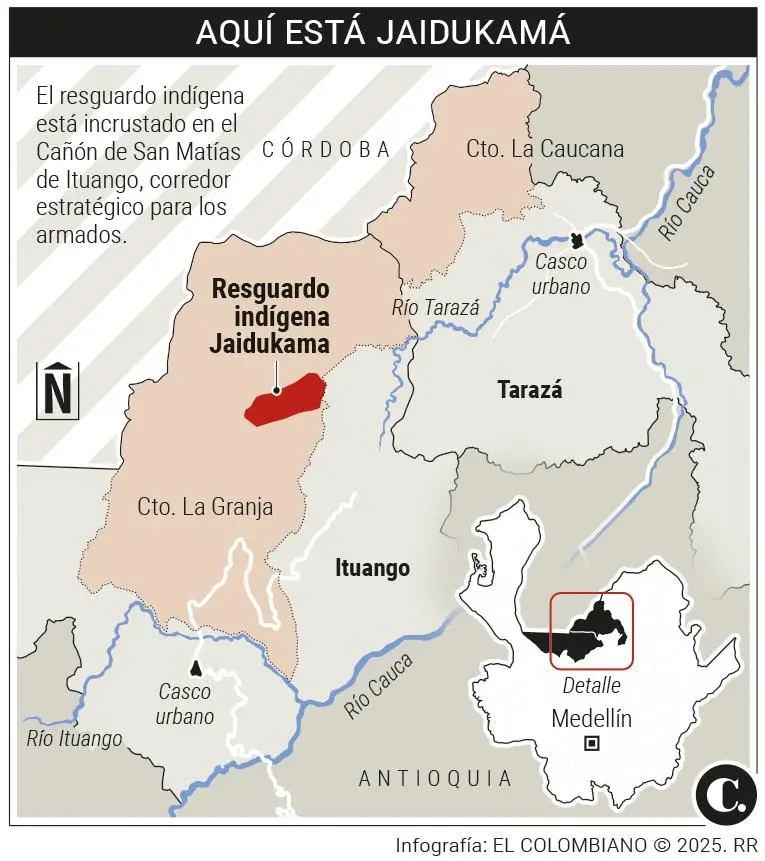 InfogrÃ¡fico