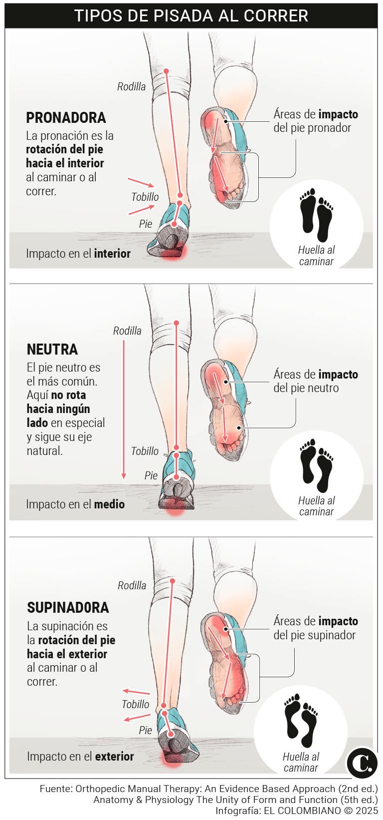 InfogrÃ¡fico