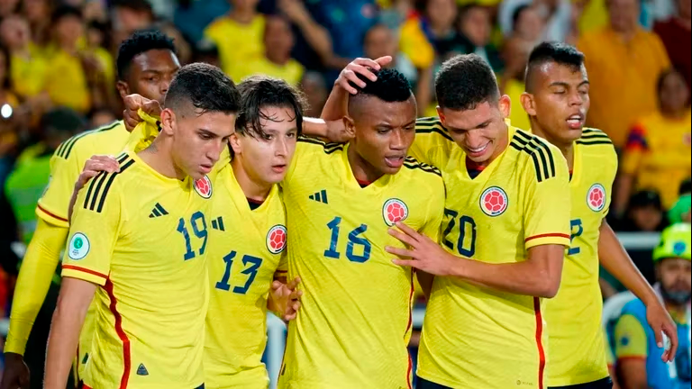 El seleccionado nacional clasificó al Mundial después de terminar tercero en el hexagonal final del Sudamericano Sub-20 que se jugó en Colombia. FOTO: COLPRENSA 