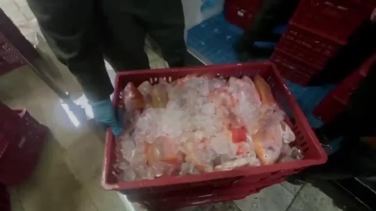 El pescado no se encontraba almacenado en la cadena de frio necesaria. FOTO: Policía