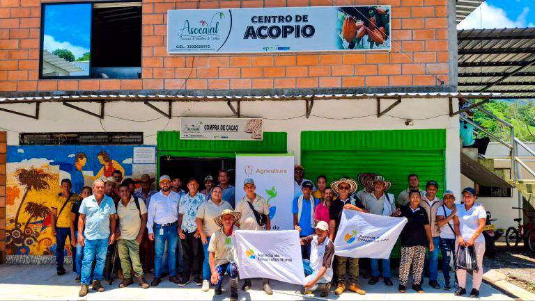 Familias campesinas de Valdivia, Antioquia, que antes se dedicaban al cultivo de coca, ahora cosecharán cacaos especiales, finos y de aroma. Foto: Cortesía