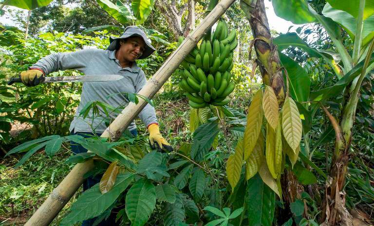 El espacio demostrativo que cultiva Tatiana Giraldo es como una escuela donde se han formado alrededor de 120 familias, a partir de la metodología constructivista que busca ‘aprender haciendo’. FOTO jaime pérez