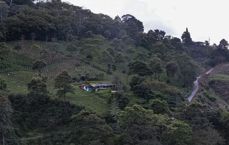 Fredonia, Antioquia. FOTO: MANUEL SALDARRIAGA QUINTERO