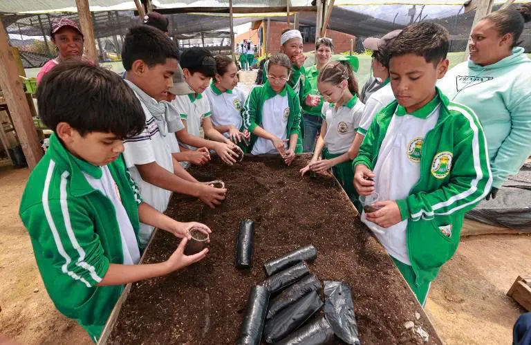 El proyecto incluye labores para sensibilizar a estudiantes y visitantes sobre la importancia de los frailejones. FOTO Manuel Saldarriaga