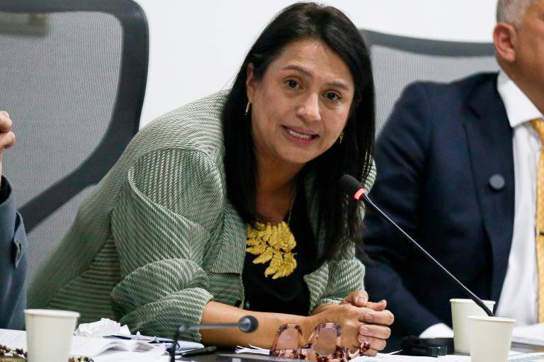 La ministra de Cultura, Paola Holguín, será citada a un debate de control político anunciado por la senadora Jennifer Pedraza, tras la polémica por el retiro de piezas del Museo Nacional. FOTO: COLPRENSA