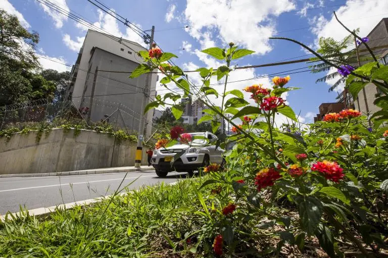 Medellín ganó premio Hábitat Latam: Estas fueron las razones por las que la eligieron entre 20 urbes de América Latina 