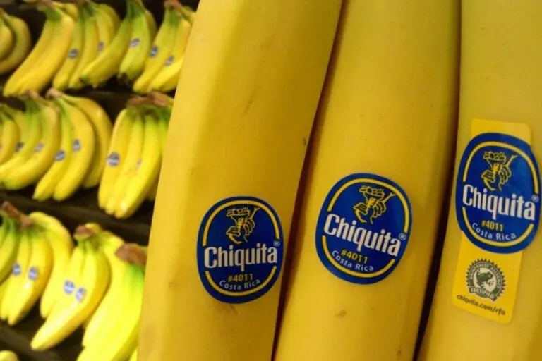 Chiquita Brands International es una multinacional estadounidense dedicada a la producción y distribución de banano, ha estado involucrada en financiación a grupos paramilitares en Colombia. Foto: EarthRights International