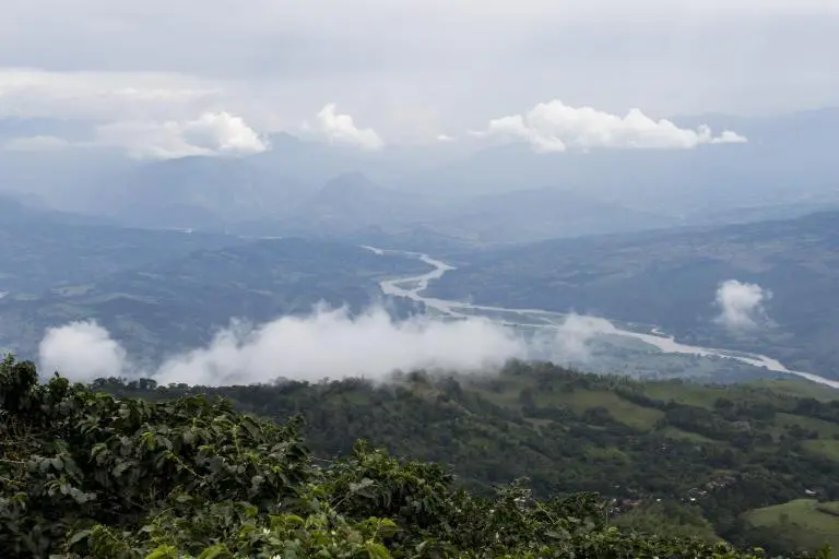 Vista panorámica de una finca cafetera en Fredonia, municipio en el que la Appa ya abarca el 44% de su extensión territorial. FOTO: Carlos Velásquez. Archivo El Colombiano