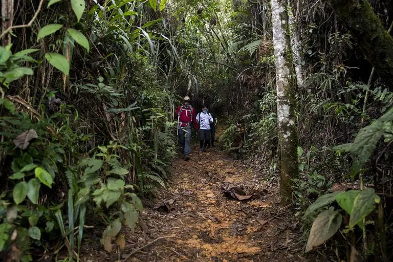 Cuatro senderistas fueron rescatados en el cerro El Romeral, área metropolitana de Medellín