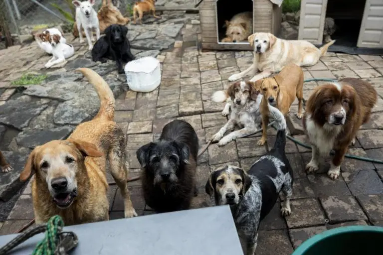 La Personería pidió a la Alcaldía de Medellín activar una mesa interinstitucional y consolidar un censo de acumuladores, fortalecer las rutas de atención en salud pública. FOTO: Andrés Camilo Suárez Echeverry