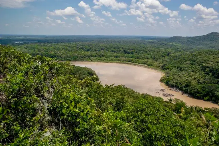 Vista aérea de la selva amazónica, el bosque tropical más grande del planeta y clave para la regulación climática global. FOTO Juan Antonio Sánchez