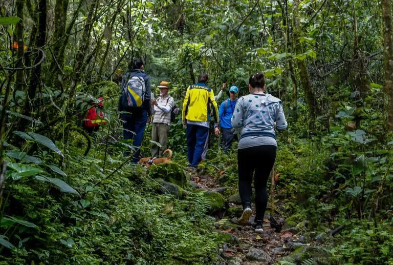 Las autoridades reiteran la importancia de hacer senderismo seguro. FOTO: Andrés Camilo Suárez Echeverry