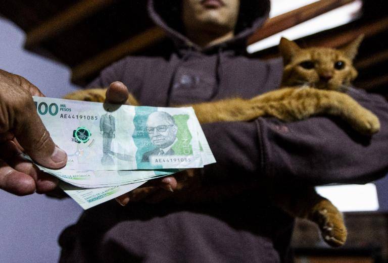 Hasta con las mascotas se han dado los casos de extorsión por devolución de bienes. Foto: Julio César Herrera Echeverri.