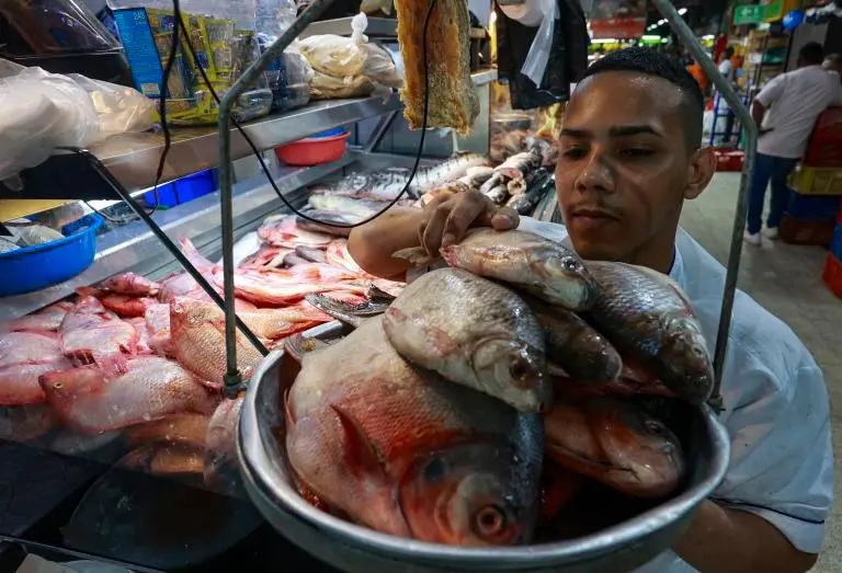 FOTO: Manuel Saldarriaga