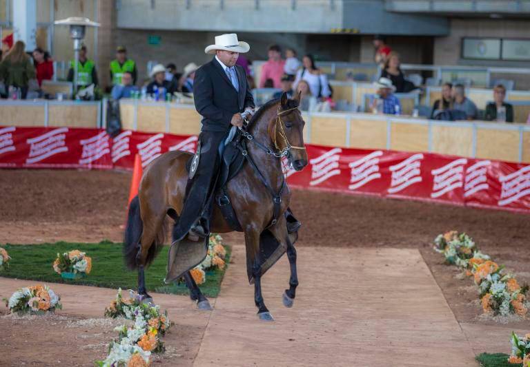 Colombia cuenta con más de 300.000 caballos registrados genealógicamente y realiza 150 ferias al año en 19 departamentos. FOTO: JUAN ANTONIO SÁNCHEZ