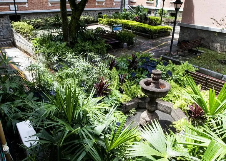 Mientras atiende pacientes, este hospital de Medellín también conserva un ecosistema único en la ciudad