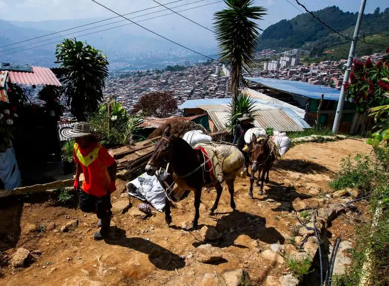 Como Nueva Jerusalén no cuenta con vías, sus construcciones avanzan todos los días a lomo de mula. FOTO: JULIO CÉSAR HERRERA