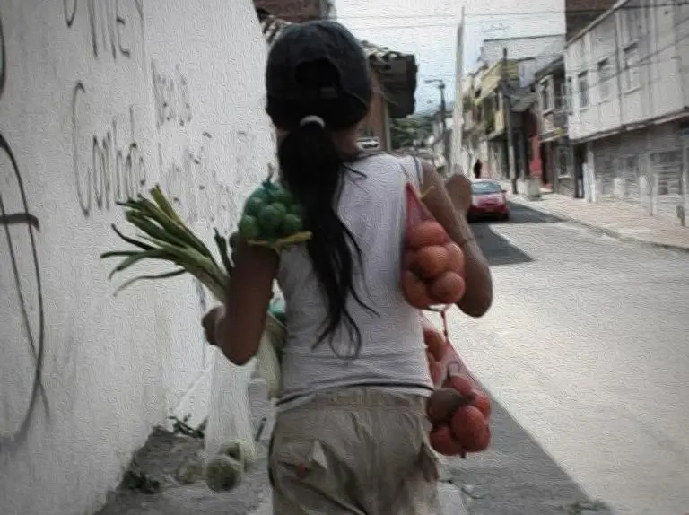 En 2024, 10 % de los menores de 17 años habían realizado trabajo infantil. Este 2026, según la Procuraduría, el 52% de los municipios del país no destinó recursos específicos para combatir este fenómeno. Foto: Colprensa - El Nuevo Día.