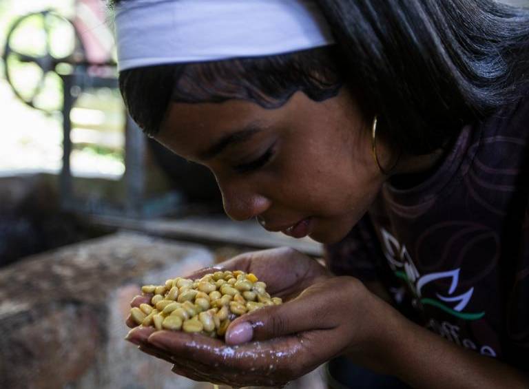 En el Eje Cafetero y Antioquia, preparaciones como el pintadito y la tradicional “chaqueta” hacen parte de la cultura alrededor del café. Foto: Julio César Herrera Echeverri.