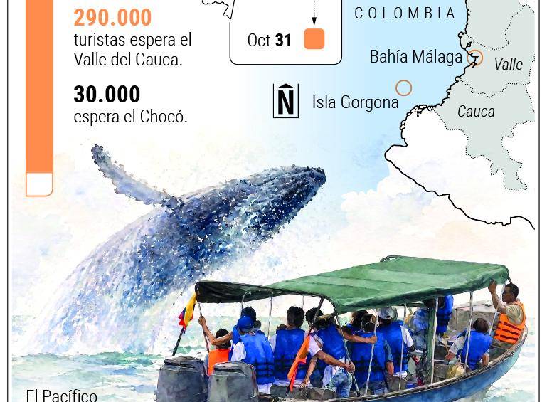 Chocó pide no cancelar viajes para ver ballenas: temporada movería US$30 millones en el turismo del Pacífico
