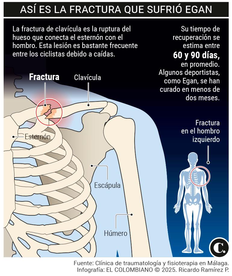 InfogrÃ¡fico