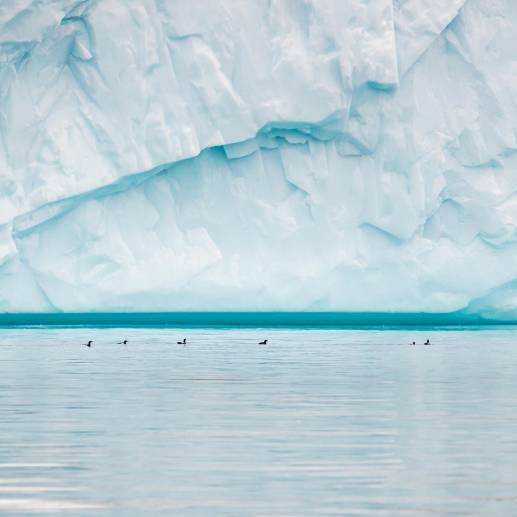El National Snow &amp; Ice Data Center (Nsdic) reportó este año la menor extensión de hielo desde los registros que iniciaron en 1979. FOTO: Freepik