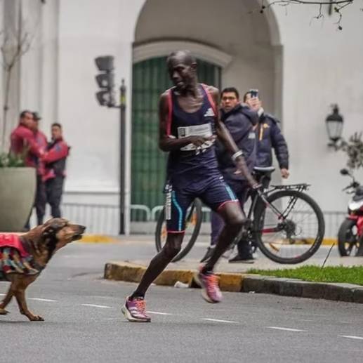 El keniano no pudo mantener el ritmo por preocuparse por el perro, lo que lo hizo desviarse y perder segundos con respecto a sus compañeros de carrera. FOTO: Twitter @scherargei
