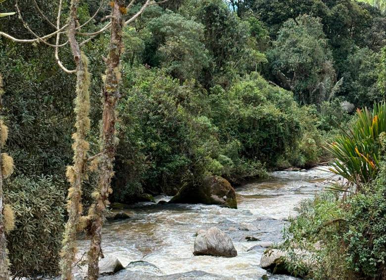 Genmas reconoce en el éxito del sector energético una oportunidad para que todas las empresas del gremio crezcan y se retroalimenten de sus experiencias. FOTO cORTESÍA