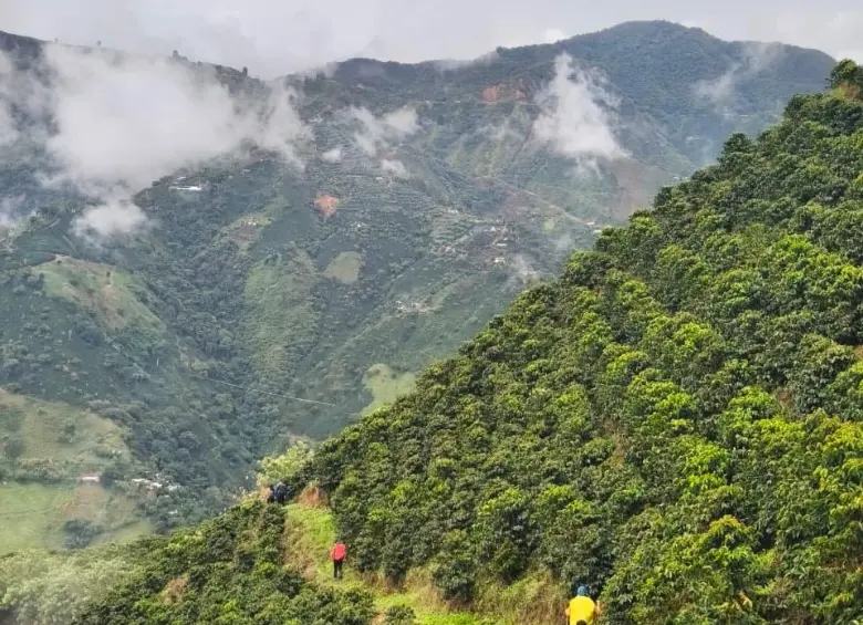 Camine conmigo: Betulia–Concordia, recorriendo el balcón del Suroeste para recordar quiénes somos