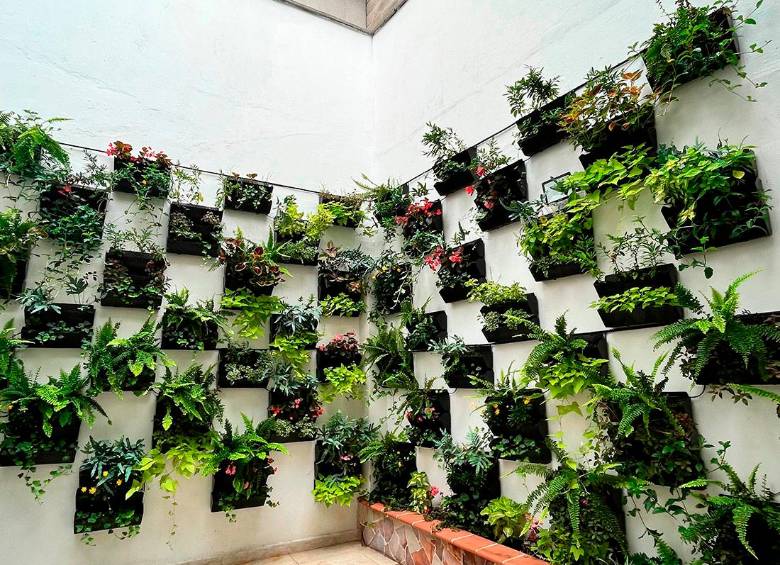 ¿Cómo crear islas verdes en poco espacio?