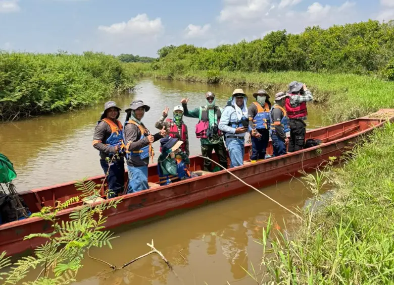 Más de mil docentes, estudiantes, trabajadores y miembros de la Sociedad Antioqueña de Ornitología (SAO) participaron en el Global Big Day 2026 en Antioquia. Foto: cortesía Ana María Castaño